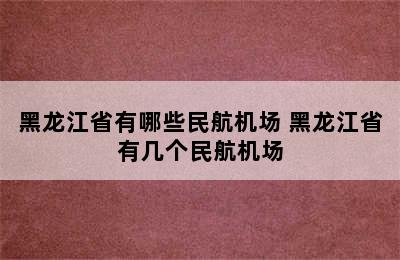 黑龙江省有哪些民航机场 黑龙江省有几个民航机场